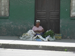 Kraeuterverkauf - Ecuador